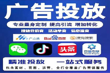 竞价广告策略案例分析